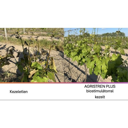  Agristren Plus 5l