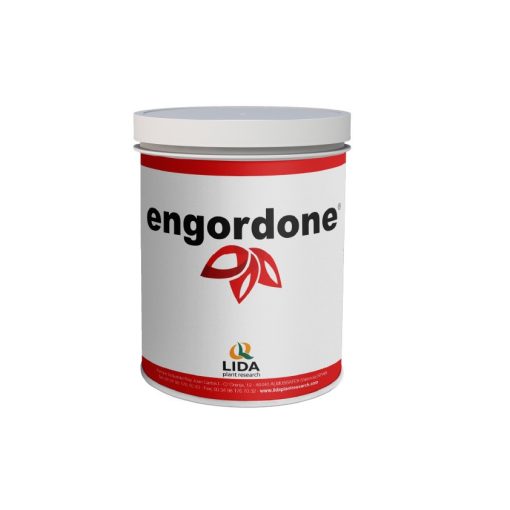 Lida Engordone 1kg