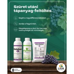 Szüret utáni tápanyag-feltöltő 10ha 